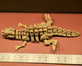 Godzilla - detail photo 7