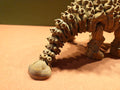 Ankylosaurus skeleton photo 4