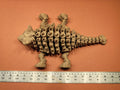Ankylosaurus skeleton photo 5
