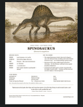 Spinosaurus Bone Forge Fact Sheet