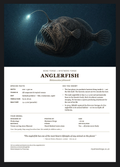 Anglerfish fact sheet insert
