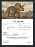 Triceratops Bone Forge Fact Sheet