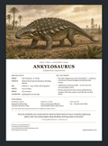 Ankylosaurus — Bone Forge Fact Sheet