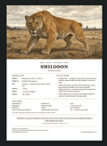Smilodon fact sheet insert