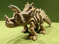 Triceratops skeleton photo 3