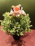 Floreth — The One Who Blooms Where Rest Is Found | Cherry Blossom Dragon