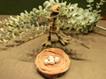 Pteranodon Bone Forge Skeleton image 2