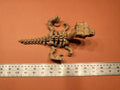 Velociraptor Bone Forge Skeleton photo 4