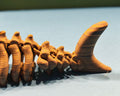 Megalodon — Bone Forge Skeleton