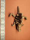 Spinosaurus — Bone Forge Skeleton