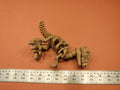 Velociraptor Bone Forge Skeleton photo 6