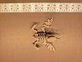 Pteranodon Bone Forge Skeleton image 7