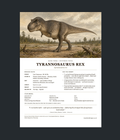 Tyrannosaurus rex - Bone Forge Skeleton