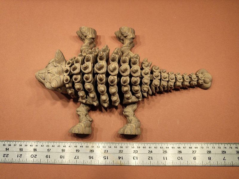 Ankylosaurus skeleton photo 5