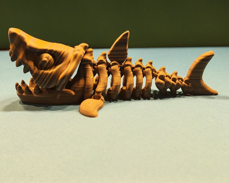 Megalodon — Bone Forge Skeleton