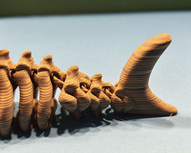 Megalodon — Bone Forge Skeleton