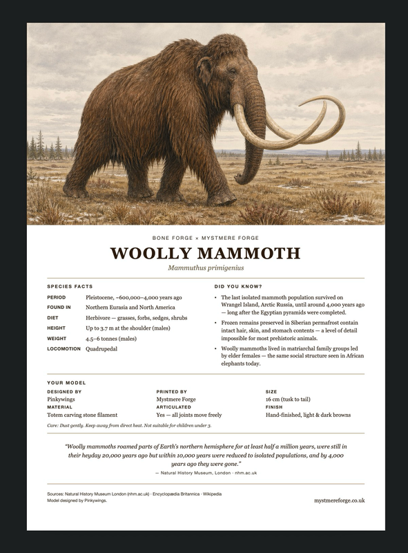 Woolly Mammoth Bone Forge Fact Sheet