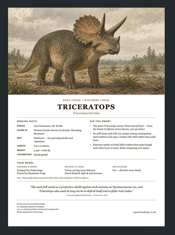 Triceratops Bone Forge Fact Sheet