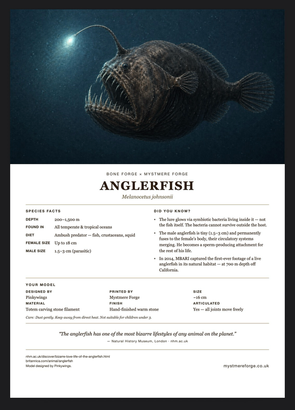 Anglerfish fact sheet insert
