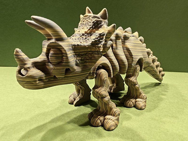 Triceratops skeleton photo 3