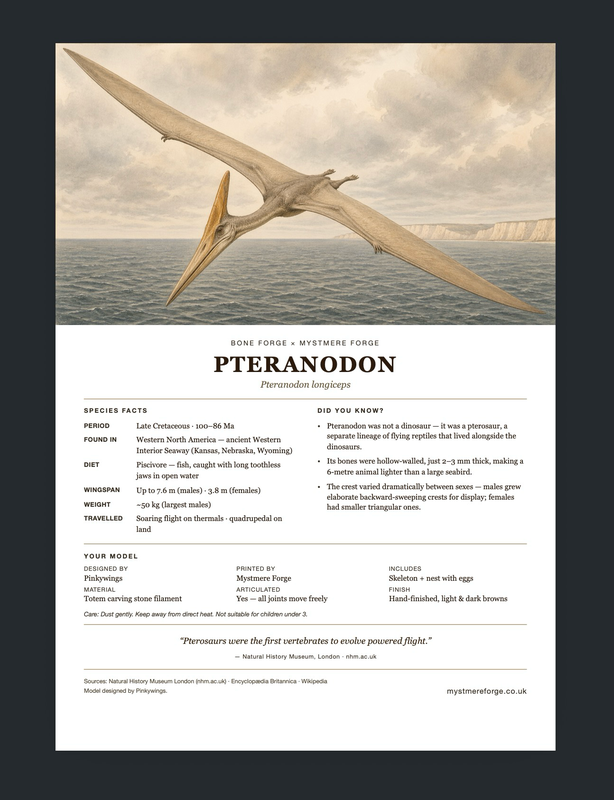 Pteranodon — Bone Forge Skeleton