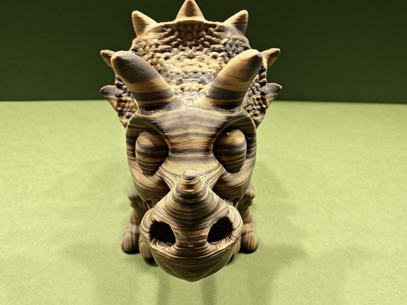 Triceratops skeleton photo 4
