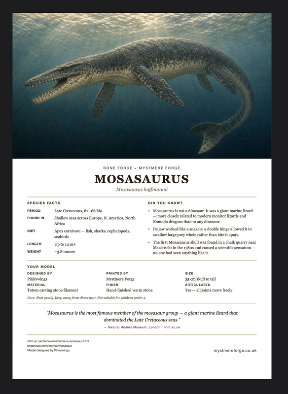 Mosasaurus fact sheet insert