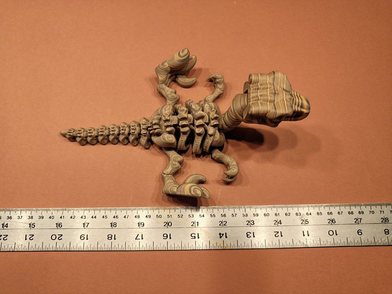 Velociraptor Bone Forge Skeleton photo 4
